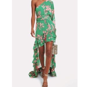 Alexis Jules dress (size small)